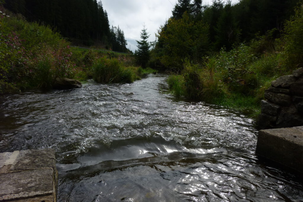 unterlinach linach 2025 09 10 flussabwaerts