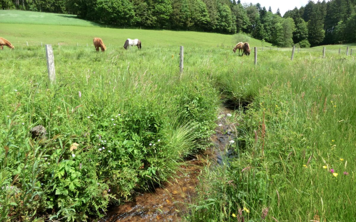 strukturkartierung_2